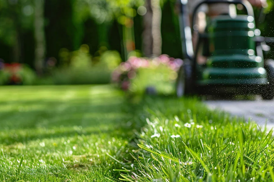 Finding Value in Lawn Mower Deals: A Comprehensive Look at Top Offers